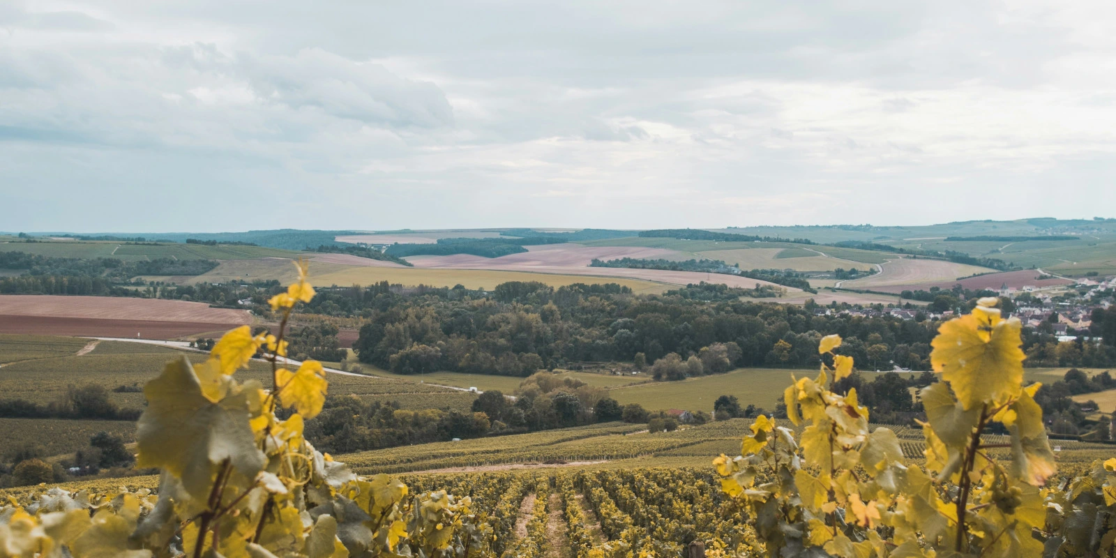 Alternance en BUT GIM : Mode d'Emploi