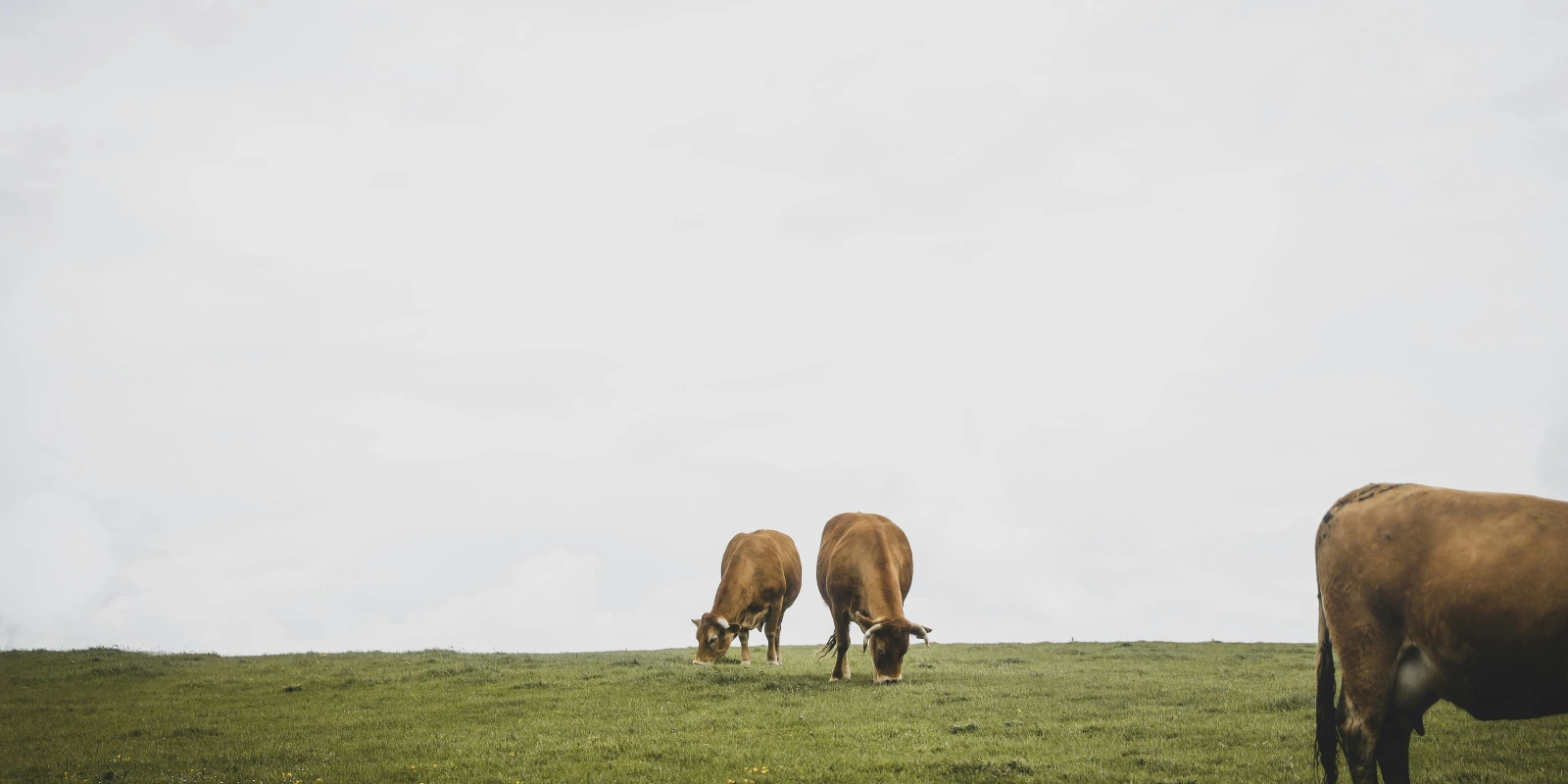 Les Défis de la Génie Industrielle